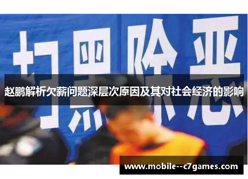 赵鹏解析欠薪问题深层次原因及其对社会经济的影响